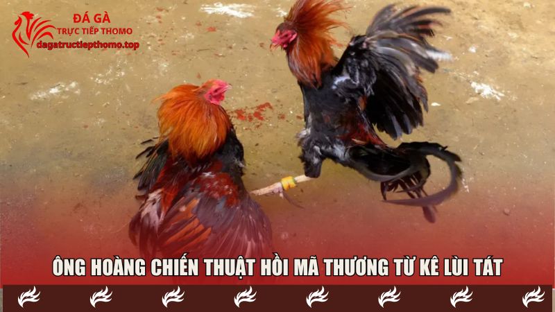 Ông hoàng chiến thuật hồi mã thương từ kê lùi tát