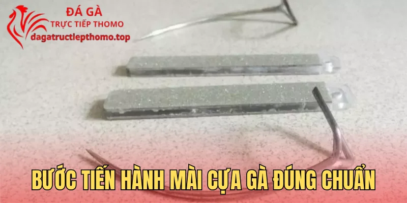 Bước tiến hành mài cựa gà đúng chuẩn