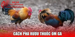 Cách Pha Rượu Thuốc Om Gà Theo Bài Cổ Truyền Bất Bại