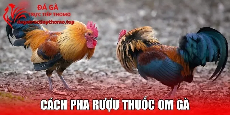 Cách Pha Rượu Thuốc Om Gà Theo Bài Cổ Truyền Bất Bại