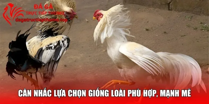 Cân nhắc lựa chọn giống loài phù hợp, mạnh mẽ