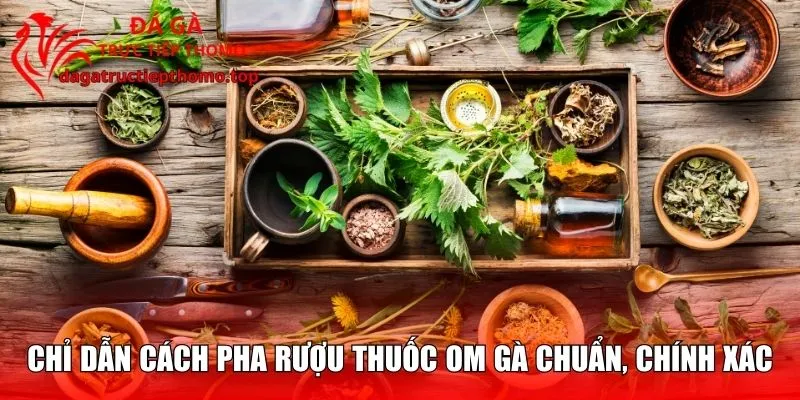 Chỉ dẫn cách pha rượu thuốc om gà chuẩn, chính xác