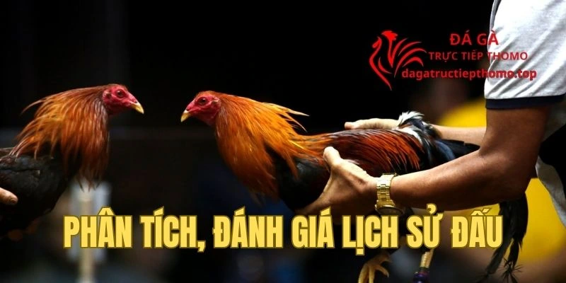 Theo dõi, đánh giá lịch sử thi đấu của mỗi ứng viên