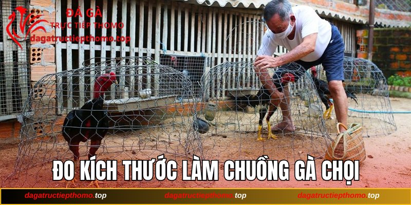 Hướng dẫn đo kích thước làm chuồng gà chọi