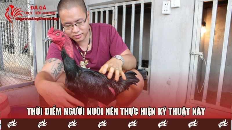 Thời điểm người nuôi nên thực hiện kỹ thuật này