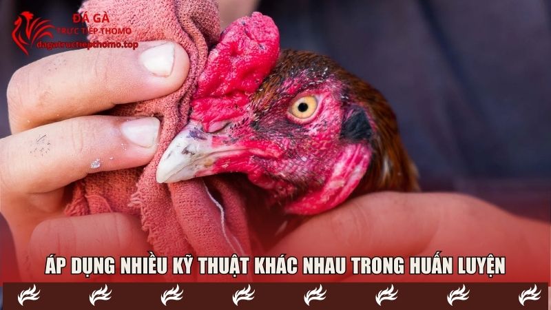 Áp dụng nhiều kỹ thuật khác nhau trong huấn luyện