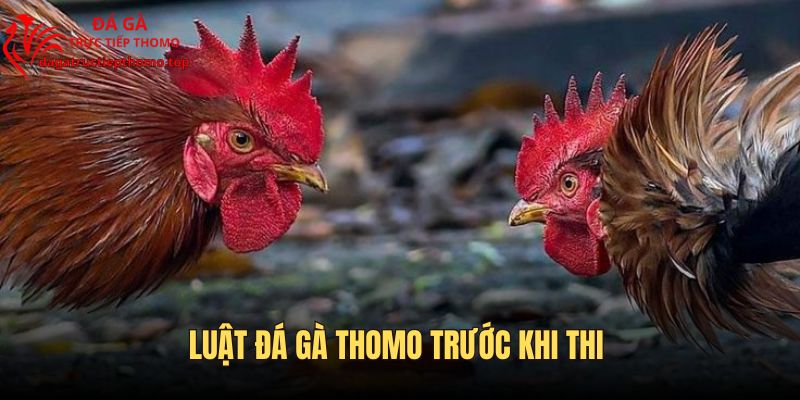 Một bảng sẽ gồm các “thí sinh” có sự tương đồng về cân nặng