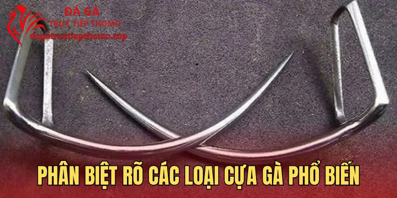Phân biệt rõ các loại cựa gà phổ biến