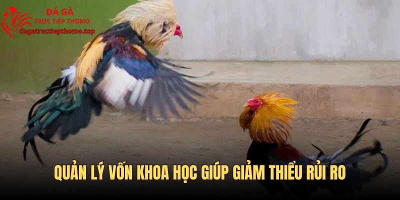 Kiểm soát việc đầu tư vốn giúp bạn hạn chế rủi ro