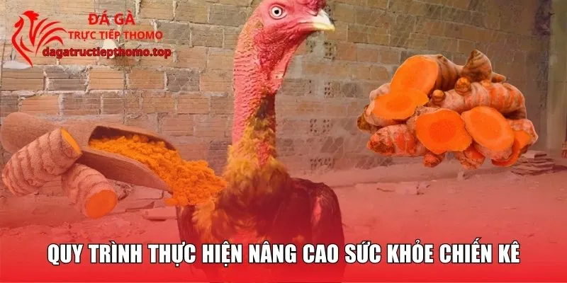 Quy trình thực hiện nâng cao sức khỏe chiến kê