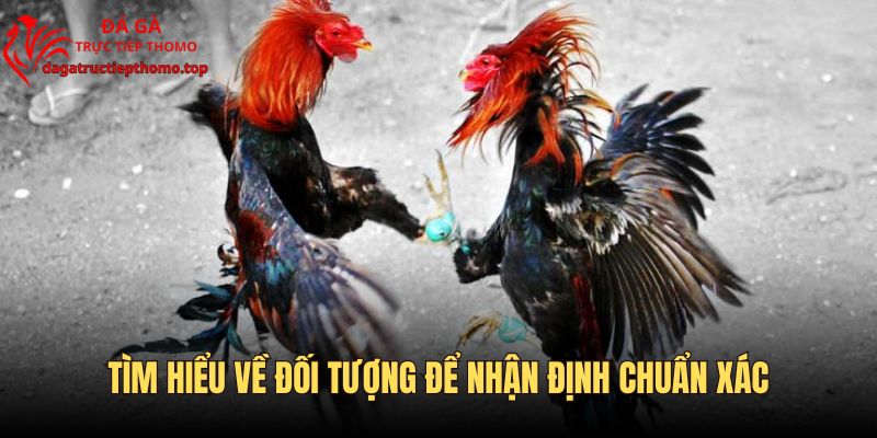 Tìm hiểu đối tượng để nhận định đúng lối đá