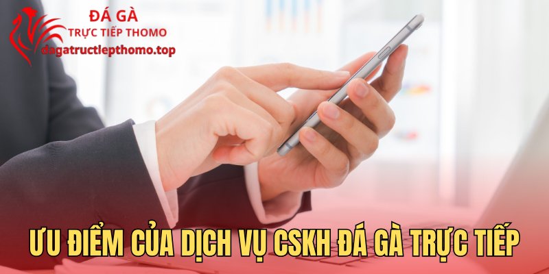 Ưu điểm của dịch vụ CSKH tại đá gà trực tiếp