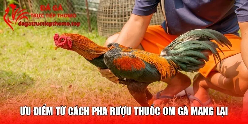 Ưu điểm từ cách pha rượu thuốc om gà mang lại