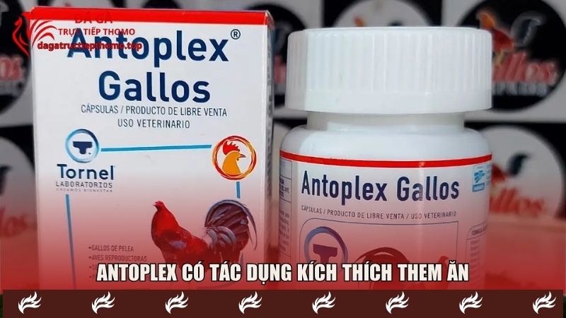 Antoplex có tác dụng kích thích them ăn