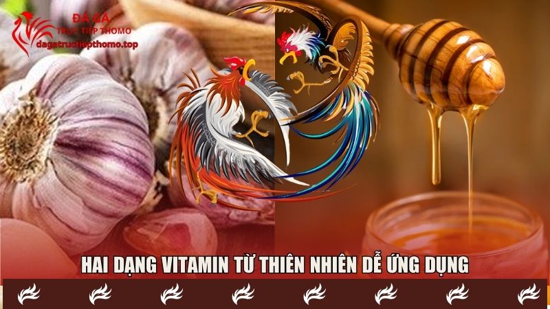 Hai dạng vitamin từ thiên nhiên dễ ứng dụng