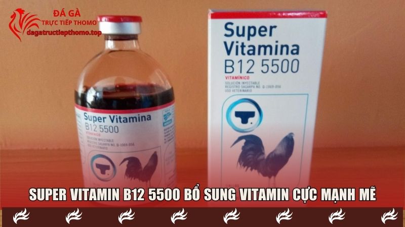 Super Vitamina B12 5500 giải pháp bổ sung vitamin cực mạnh mẽ