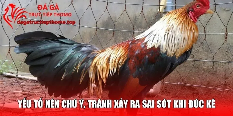 Yếu tố nên chú ý, tránh xảy ra sai sót khi đúc kê